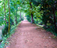Addisons_walk_oxford
