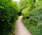 Holy-Trinity-Church_path